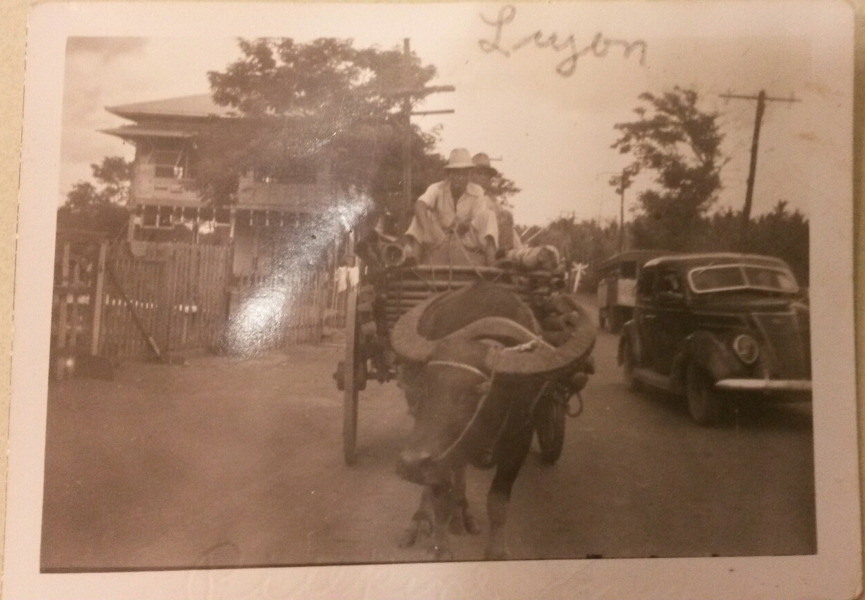 Luzon, Philippines. From the Education Collection at The National WWII Museum.