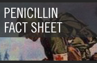 Penicillin Fact Sheet