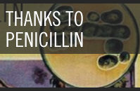 Penicillin