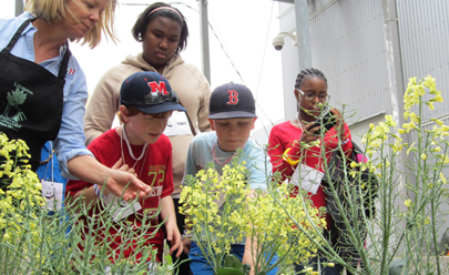 Victory Garden Field Trip