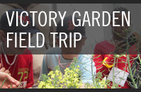 Victory Garden Field Trip