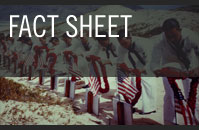 FACT SHEET