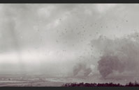 Pearl Harbor Anniversary
